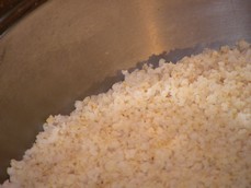 Cooked Plain Millet-Closeup